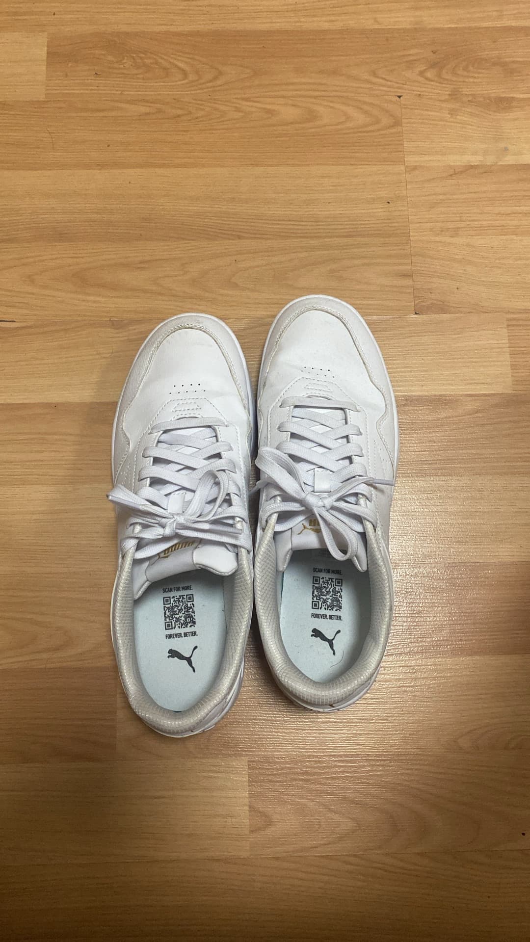 Puma sheoes size 43 free to give away